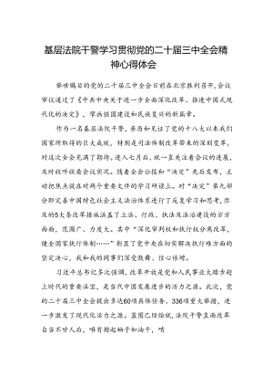 基层法院干警学习贯彻党的二十届三中全会精神心得体会.docx