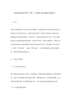 X县商务投资局关于第十三届第六轮巡察自查报告.docx