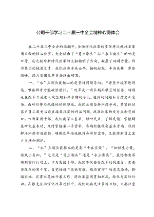 2024年公司干部学习二十届三中全会精神心得体会.docx