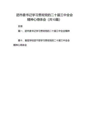 团市委书记学习贯彻党的二十届三中全会精神心得体会10篇（详细版）.docx