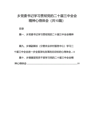 乡党委书记学习贯彻党的二十届三中全会精神心得体会(10篇集合).docx