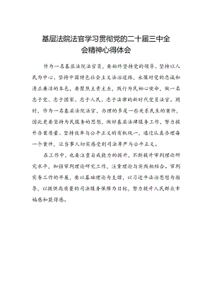 基层法院法官学习贯彻党的二十届三中全会精神心得体会.docx