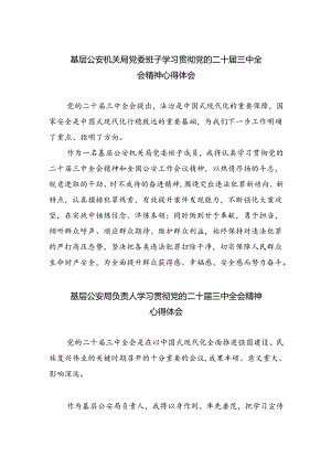基层公安机关局党委班子学习贯彻党的二十届三中全会精神心得体会8篇（详细版）.docx