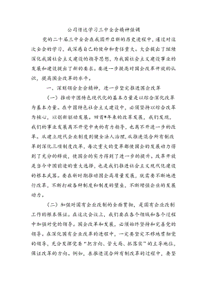 公司传达学习三中全会精神强调.docx