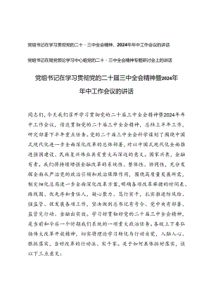 党组书记在学习贯彻党的二十届三中全会精神暨2024年年中工作会议的讲话及党的二十届三中全会精神专题研讨会上的讲话.docx