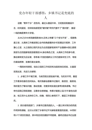 党办年轻干部感悟：乡镇书记是兜底的人.docx