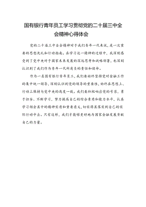 国有银行青年员工学习贯彻党的二十届三中全会精神心得体会.docx