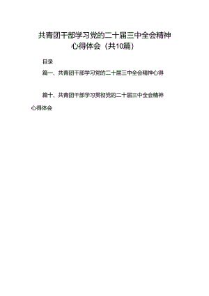 共青团干部学习党的二十届三中全会精神心得体会（共10篇）.docx