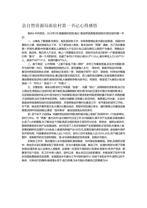 县自然资源局派驻村第一书记心得感悟.docx