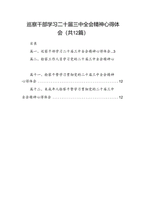 巡察干部学习二十届三中全会精神心得体会（共12篇）.docx