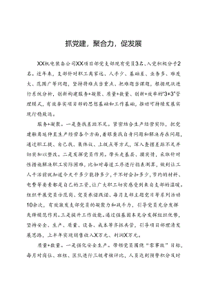 公司党建情况经验交流：抓党建聚合力促发展.docx