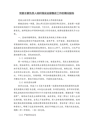 党委主要负责人组织落实巡察整改工作的情况报告.docx
