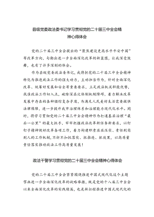 县级党委政法委书记学习贯彻党的二十届三中全会精神心得体会5篇（详细版）.docx