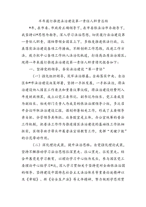 半年履行推进法治建设第一责任人职责总结.docx