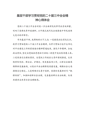 基层干部学习贯彻党的二十届三中全会精神心得体会.docx