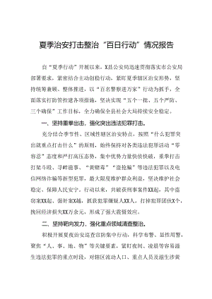 县公安2024年推进夏季治安打击整治行动工作汇报(十一篇).docx