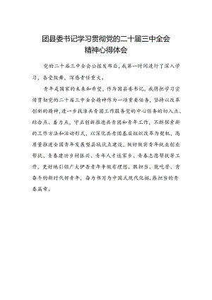 团县委书记学习贯彻党的二十届三中全会精神心得体会.docx