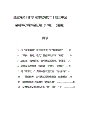 基层党员干部学习贯彻党的二十届三中全会精神心得体会汇编（20篇）（通用）.docx