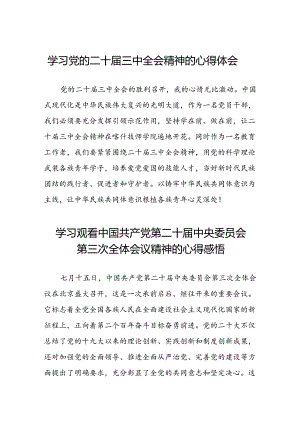 学习观看中国共产党第二十届中央委员会第三次全体会议精神的心得感悟三十六篇.docx
