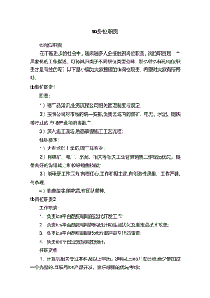 tb岗位职责.docx