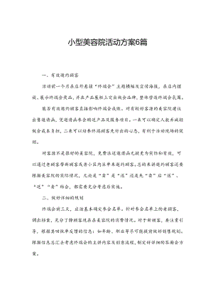 小型美容院活动方案6篇.docx