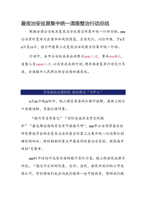 夏夜治安巡查集中统一清查整治行动总结 ..docx