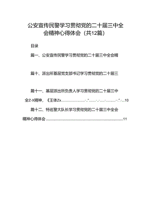 公安宣传民警学习贯彻党的二十届三中全会精神心得体会12篇（精选）.docx