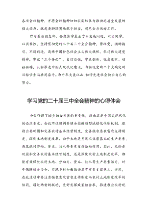 学习二十届三中全会公报心得感悟二十七篇.docx
