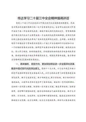 传达学习二十届三中全会精神强调讲话.docx