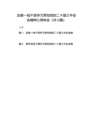 巡察一线干部学习贯彻党的二十届三中全会精神心得体会12篇（精选）.docx
