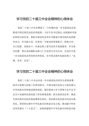 党员干部学习贯彻党的二十届三中全会精神心得感悟模板四十四篇.docx