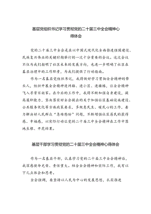 基层党组织书记学习贯彻党的二十届三中全会精神心得体会(精选八篇).docx