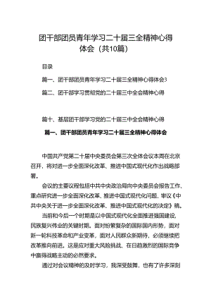 团干部团员青年学习二十届三全精神心得体会（共10篇）汇编.docx