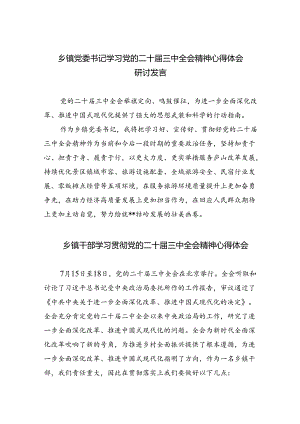 乡镇党委书记学习党的二十届三中全会精神心得体会研讨发言8篇（详细版）.docx