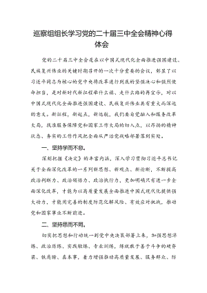 巡察组组长学习党的二十届三中全会精神心得体会.docx