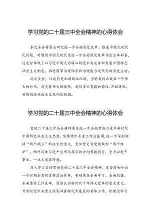 学习党的二十届三中全会精神的心得体会优秀发言三十六篇.docx