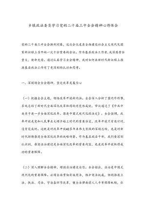 乡镇政法委员学习党的二十届三中全会精神心得体会.docx