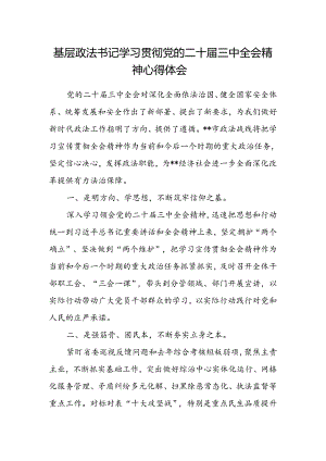 基层政法书记学习贯彻党的二十届三中全会精神心得体会.docx