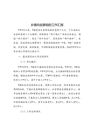 乡镇向巡察组的工作汇报.docx