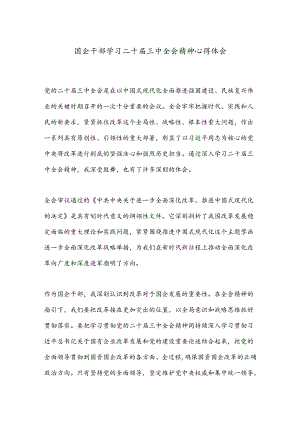 国企干部学习二十届三中全会精神心得体会.docx