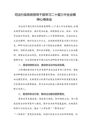 司法行政系统领导干部学习二十届三中全会精神心得体会.docx
