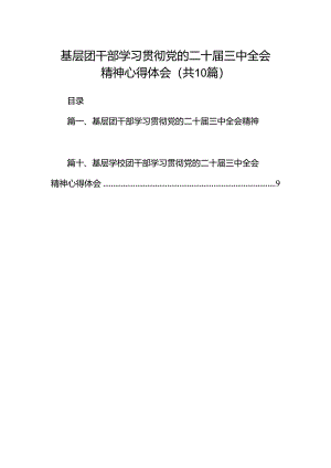 基层团干部学习贯彻党的二十届三中全会精神心得体会(10篇集合).docx