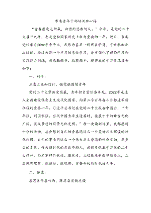 市委青年干部培训班心得.docx
