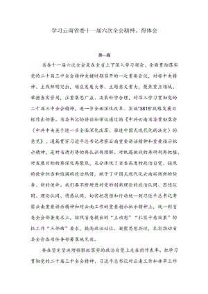 学习云南省委十一届六次全会精神心得体会4篇.docx