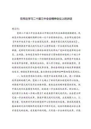 2024年在传达学习二十届三中全会精神会议上的讲话材料.docx