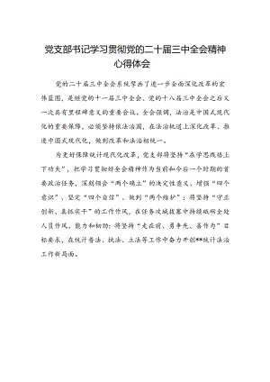 党支部书记学习贯彻党的二十届三中全会精神心得体会.docx
