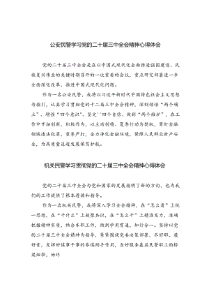 公安民警学习二十届三中全会精神研讨发言材料8篇.docx