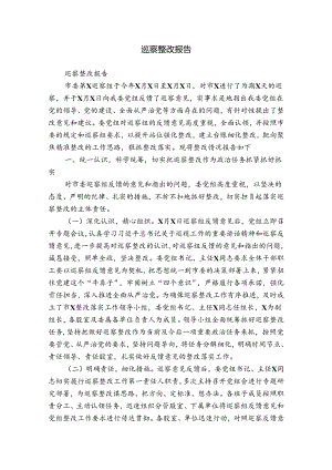 巡察整改报告.docx