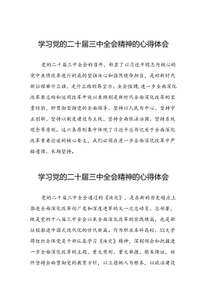 学习二十届三中全会精神的心得体会简要发言三十六篇.docx