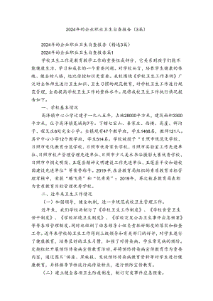 2024年的企业职业卫生自查报告（3篇）.docx